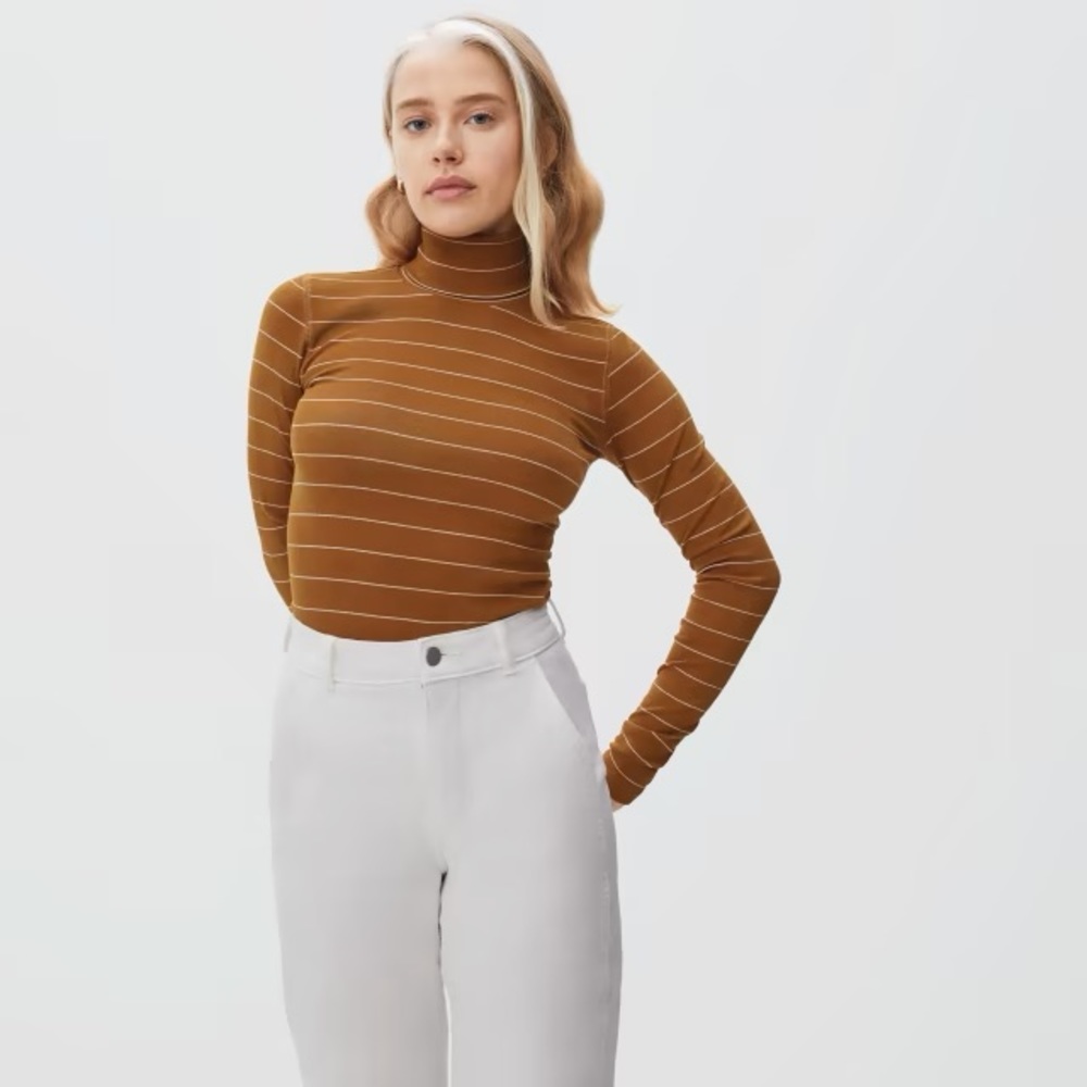 Everlane The Supima® Micro-Rib Turtleneck